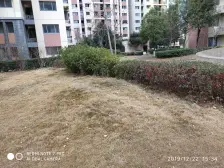 高楼层 视野开阔 诚心出售 精装修,拎包入住,纯边套
