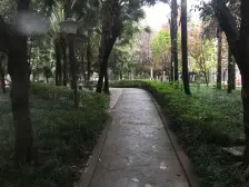 九宫庙 秋实景苑三房88万