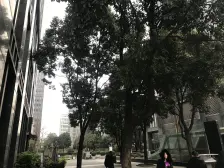 汽博中心 新科国际广场一房48万