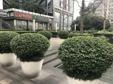 渝北 新科国际广场 1室0厅