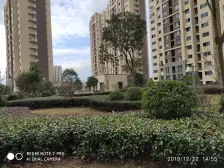 夏阳·崧泽华城德康雅苑·3室·2厅