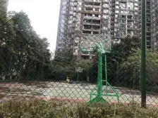 鲁能星城11街区 5室2厅 南