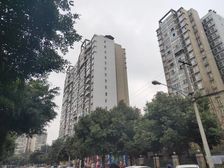 紫东梵谷 3室1厅 东南