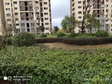 房龄新,一手动迁,税费少,总价低,业主诚意出售