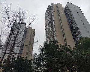 紫东梵谷 3室2厅 东南