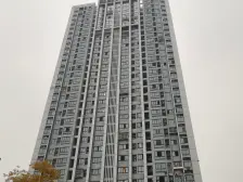 鸳鸯 大雅金开国际三房