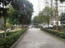 鸳鸯 园丁梦苑二房65万