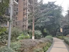 闲庭居正规两房出售!户型彩光很好