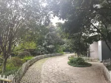 北部新区 鼎科阿布阿布(鼎科80派)一房64万