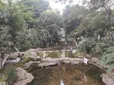 人和菜市场旁 住家四房 配套完善