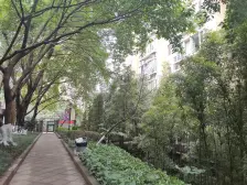 南坪骑龙山庄 洋房大4房 3厅3卫6大飘窗 朝中庭安静