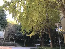 城南新区 海宇状元府第五房144万