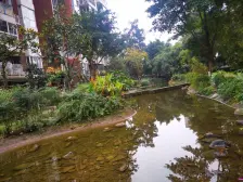 城北新区 北泉花园一房42万