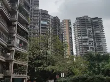 南坪骑龙山庄四期 园林小区 正规三房双卫 业主诚售