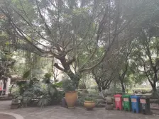 西路 金阳骑龙山庄三房