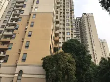 万科兰乔圣菲 8室2厅 东南