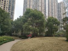 毛坯,高层,免拆旧!装修直接进!