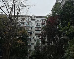 银杏森林 2室1厅 东南