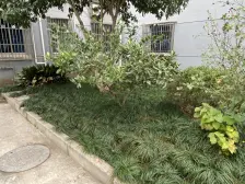 精装修朝南两房 满五年 看房提前预约 采光充足