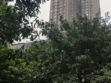 业主急卖!凤天路精装修大一房