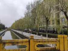 近地 铁 交通方便 双南户型 中间楼层 业主诚意卖