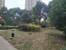 标杆品质小区,静安地产开发,双南景观好,视野开阔!