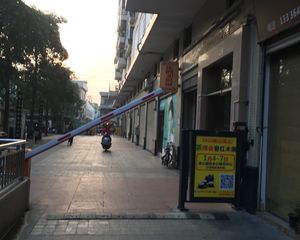 乐从镇中位适合居家各宅男宅女
