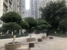 龙头寺 丰业御景铭洲二房77.2万