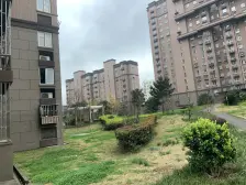 江桥·金沙鼎苑·1室·1厅