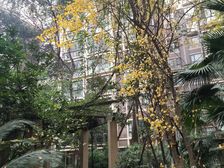 北新润苑一期 2室1厅 北