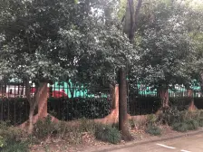 通园公寓 3室2厅 南 北