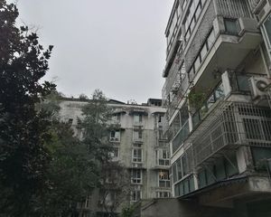 银杏森林2室1厅南