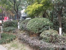 嘉美华凯3室1厅南北