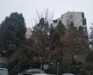 南阳锦城四期3室2厅南