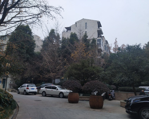 南阳锦城 3室1厅 南