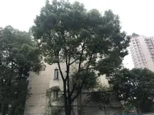 新上房源、4/14号线双轨地铁、安装电梯、南北全明户型