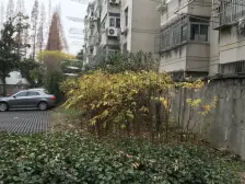 飞机户型正三房,价格好谈,采光充足,房东很佛系。