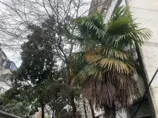 新养蚕里新村 2室1厅 南