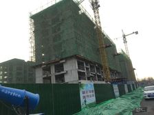 人民医院南 金庆名人府 电梯洋房 带车位地下室 位置好