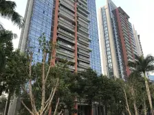 大良新城区海岸星座395方大平层