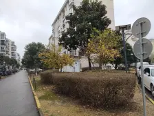 业主房子买好了,急售 价格好谈 近地铁 17年电梯房