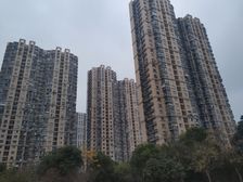 双线轨交,南北两房,边套采光视野不受影响