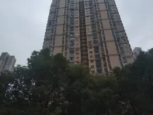 依水园样板间,中间楼层,两房朝南,三林南轨交旁,随时可参观