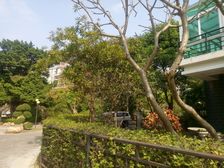 花园小区,改善住家,满绿色山景有南向大阳台,1梯2户