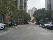 三林南12年电梯房小区,城林美苑近懿德城和印象汇,精装修