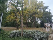 老来噻了,标杆小区,清水毛坯,电梯中层,税少