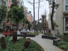 华阳滨河花园 3室2厅 西