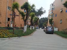 华阳滨河花园 4室2厅 南