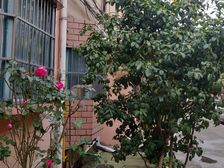 近地铁刚需上车中间楼层新上房源