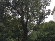 电梯精装修采光好交通便利配套成熟吃喝玩乐一条街